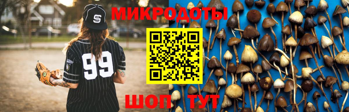 даркнет сайт  Вход с VPN  Тимашёвск  Псилоцибиновые грибы ЛСД  Псилоцибиновые грибы ЛСД 