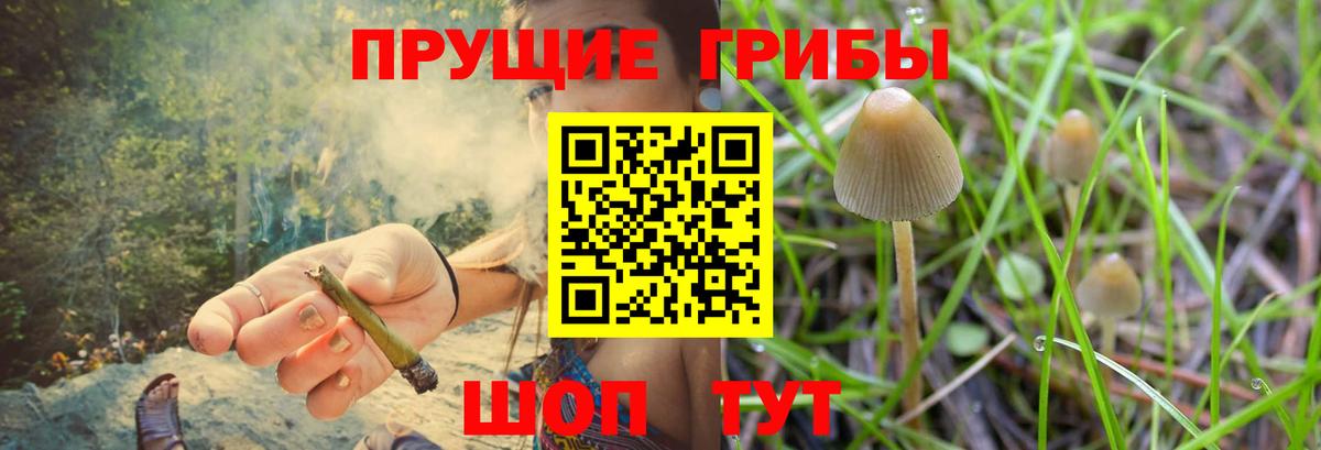 Псилоцибиновые грибы прущие грибы Тимашёвск
